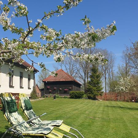 Folwark Goscino-Dwor Bed & Breakfast Luaran gambar