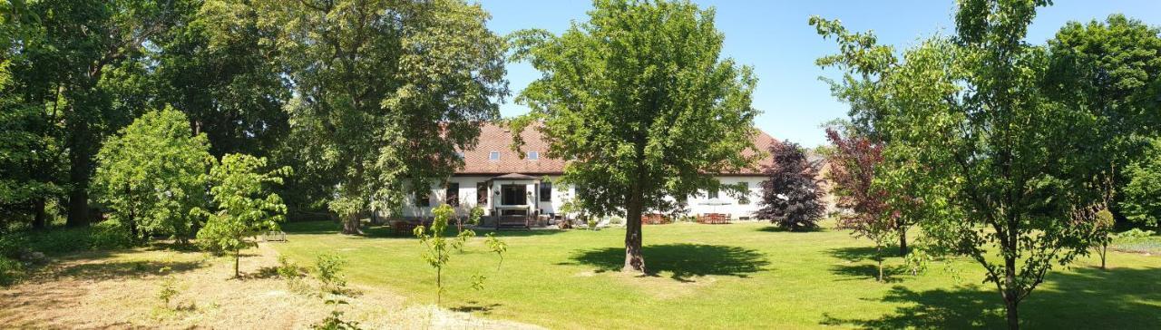 Folwark Goscino-Dwor Bed & Breakfast Luaran gambar