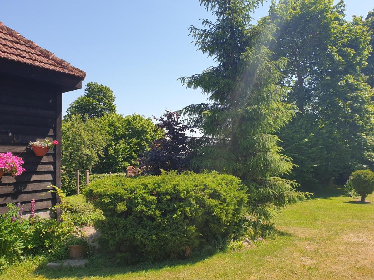Folwark Goscino-Dwor Bed & Breakfast Luaran gambar